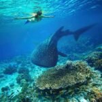 Six Coastal Resorts in Southern Sri Lanka